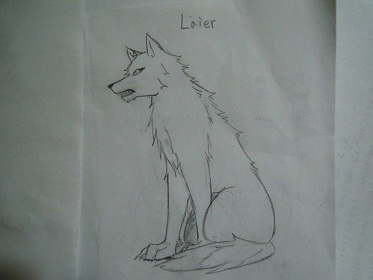 Laier