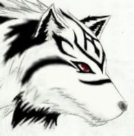 複製  魔狼