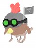 IMG 0411