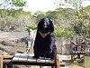 按圖片以瀏覽大圖

名稱:	P1010081.jpg
瀏覽次數:	834
文件大小:	100.2 KB
ID:	32751