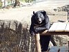按圖片以瀏覽大圖

名稱:	P1010043.jpg
瀏覽次數:	807
文件大小:	99.1 KB
ID:	32752