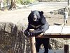 按圖片以瀏覽大圖

名稱:	P1010044.jpg
瀏覽次數:	828
文件大小:	99.2 KB
ID:	32753