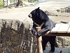 按圖片以瀏覽大圖

名稱:	P1010045.jpg
瀏覽次數:	840
文件大小:	99.1 KB
ID:	32754