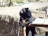 按圖片以瀏覽大圖

名稱:	P1010046.jpg
瀏覽次數:	813
文件大小:	99.0 KB
ID:	32755
