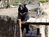 按圖片以瀏覽大圖

名稱:	P1010051.jpg
瀏覽次數:	824
文件大小:	98.7 KB
ID:	32756