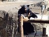 按圖片以瀏覽大圖

名稱:	P1010063.jpg
瀏覽次數:	845
文件大小:	97.7 KB
ID:	32759