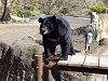 按圖片以瀏覽大圖

名稱:	P1010073.jpg
瀏覽次數:	811
文件大小:	99.9 KB
ID:	32761