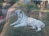 按圖片以瀏覽大圖

名稱:	P1010112.jpg
瀏覽次數:	835
文件大小:	97.7 KB
ID:	32763