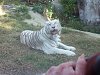 按圖片以瀏覽大圖

名稱:	P1010114.jpg
瀏覽次數:	826
文件大小:	96.8 KB
ID:	32764