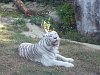 按圖片以瀏覽大圖

名稱:	P1010115.jpg
瀏覽次數:	811
文件大小:	97.0 KB
ID:	32765