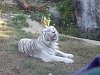 按圖片以瀏覽大圖

名稱:	P1010116.jpg
瀏覽次數:	813
文件大小:	97.2 KB
ID:	32766