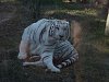 按圖片以瀏覽大圖

名稱:	P1010103.jpg
瀏覽次數:	817
文件大小:	95.2 KB
ID:	32768