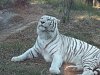 按圖片以瀏覽大圖

名稱:	P1010106.jpg
瀏覽次數:	826
文件大小:	96.4 KB
ID:	32770