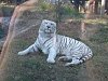 按圖片以瀏覽大圖

名稱:	P1010108.jpg
瀏覽次數:	827
文件大小:	98.0 KB
ID:	32771