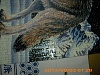 按圖片以瀏覽大圖

名稱:	DSCI4428.jpg
瀏覽次數:	259
文件大小:	553.2 KB
ID:	33951