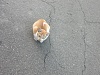 按圖片以瀏覽大圖

名稱:	IMG381.jpg
瀏覽次數:	536
文件大小:	587.7 KB
ID:	35251