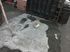 按圖片以瀏覽大圖

名稱:	IMG376.jpg
瀏覽次數:	531
文件大小:	573.7 KB
ID:	35252