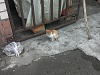 按圖片以瀏覽大圖

名稱:	IMG377.jpg
瀏覽次數:	525
文件大小:	571.1 KB
ID:	35253