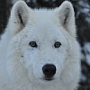 按圖片以瀏覽大圖

名稱:	wcs_1_4_13sd-150x150.jpg
瀏覽次數:	949
文件大小:	6.4 KB
ID:	35441