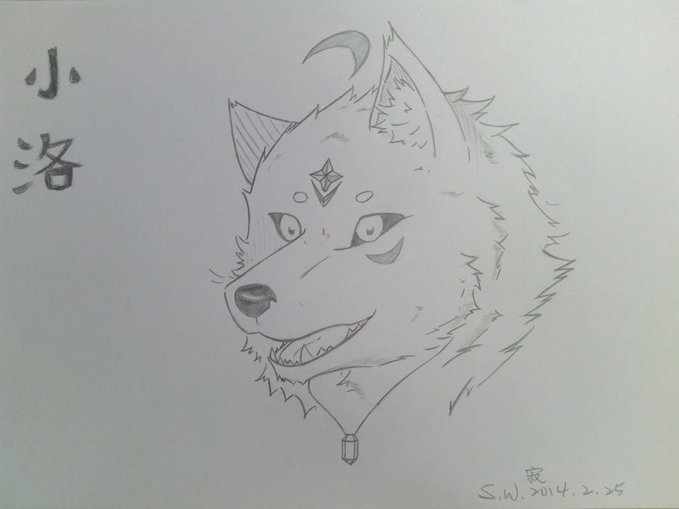 贈圖   小洛