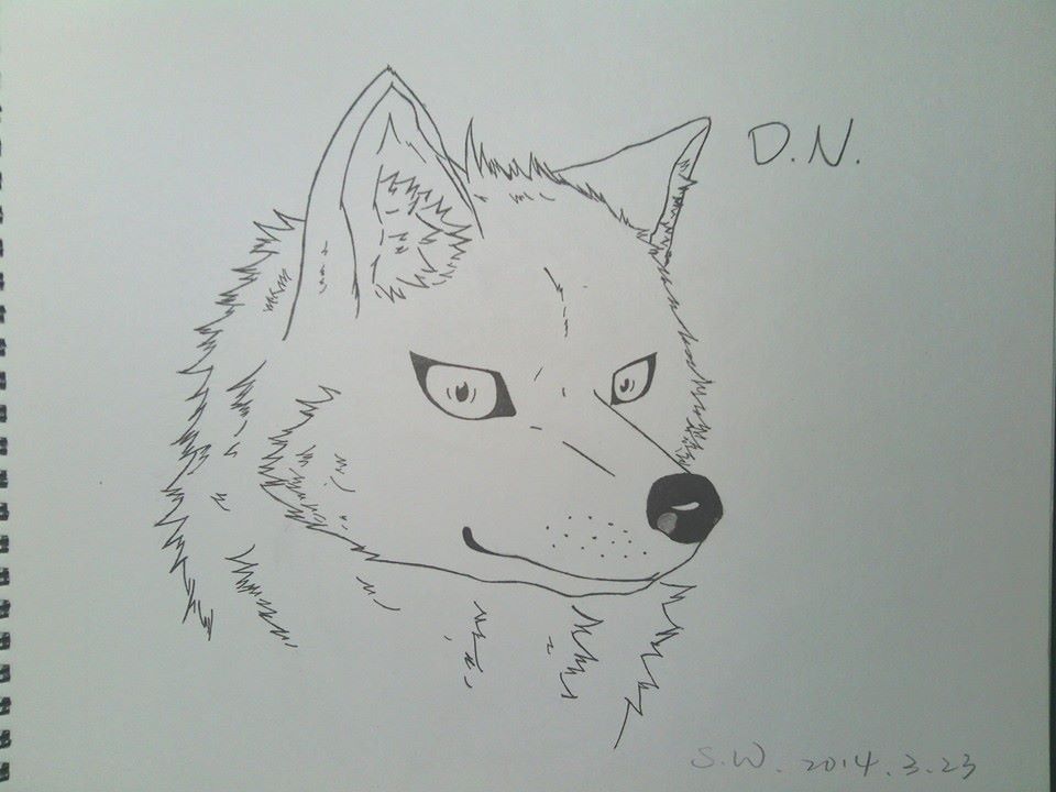 D.N. 001