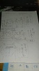 胖胖的一天