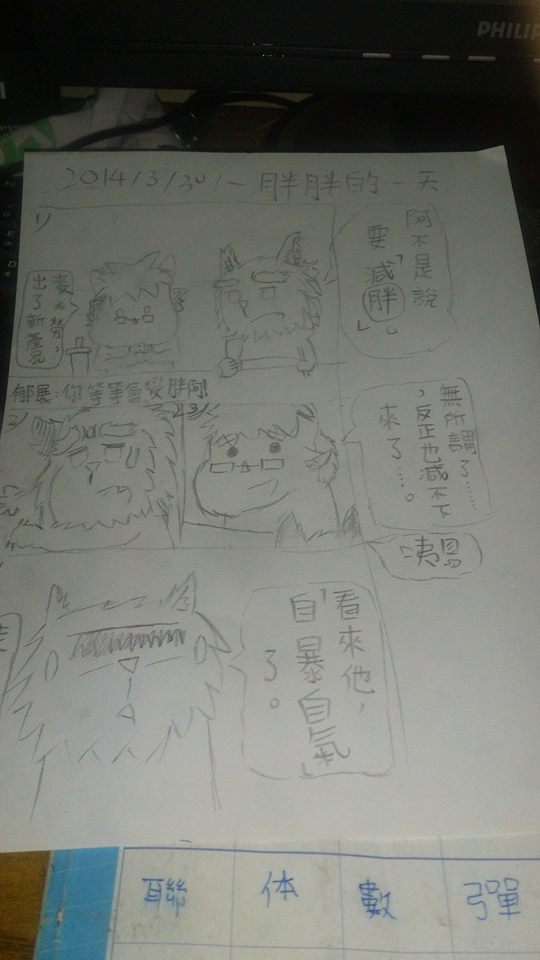 胖胖的一天