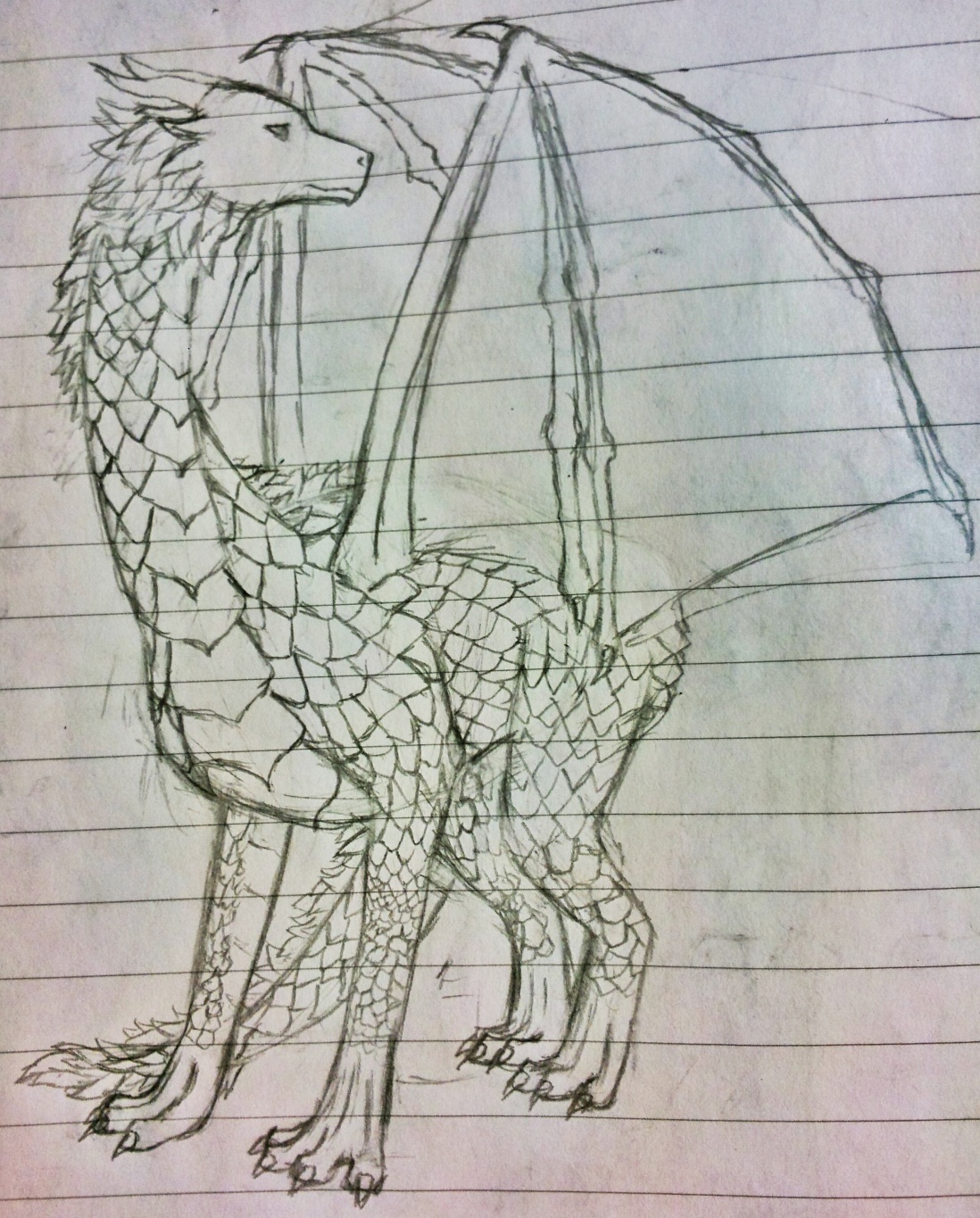 dragon