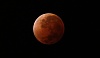 按圖片以瀏覽大圖

名稱:	天文奇景「血月」。路透.jpg
瀏覽次數:	133
文件大小:	17.5 KB
ID:	35969
