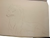 按圖片以瀏覽大圖

名稱:	DSCF2886.jpg
瀏覽次數:	509
文件大小:	375.8 KB
ID:	36894