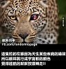 按圖片以瀏覽大圖

名稱:	1464627_1444672955851613_2012224308714700781_n.jpg
瀏覽次數:	3447
文件大小:	84.5 KB
ID:	37503
