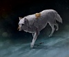 All the friends I  ve lost by akreon