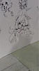 按圖片以瀏覽大圖

名稱:	IMAG0039_s.jpg
瀏覽次數:	4756
文件大小:	48.5 KB
ID:	38074