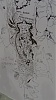 按圖片以瀏覽大圖

名稱:	IMAG0041_s.jpg
瀏覽次數:	4729
文件大小:	69.5 KB
ID:	38076