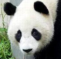 凯伊 凯斯特 的頭像