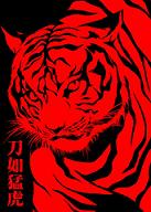 zoe123 的頭像