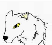 白狼山犬 的頭像