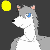 望月灰狼 的頭像