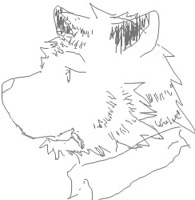犬野 的頭像