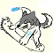 冰狼IceWolf 的頭像