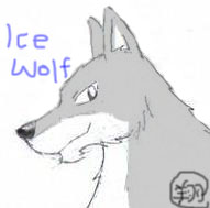wolfbbs.net-imagehost-uploads2-bad0dd8f0a.jpg