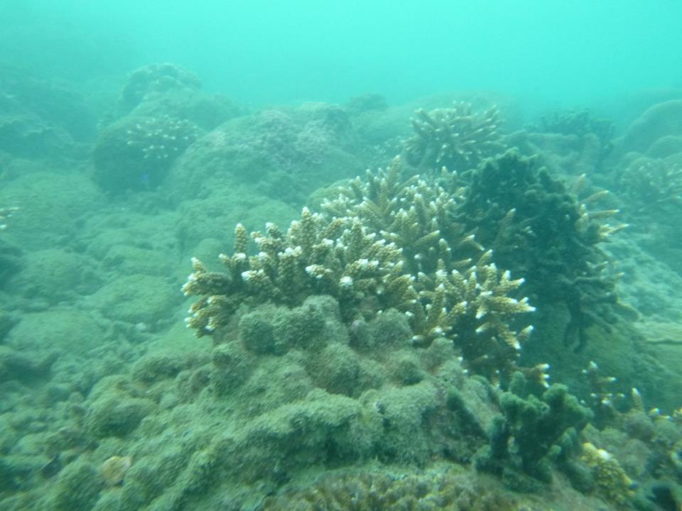 3887 120185834815890 1234963241 n