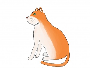 按圖片以瀏覽大圖

名稱:	貓2.jpg
瀏覽次數:	82
文件大小:	74.7 KB
ID:	33047