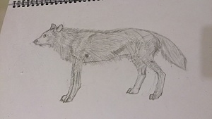 按圖片以瀏覽大圖

名稱:	DSC_0019[1].jpg
瀏覽次數:	87
文件大小:	92.0 KB
ID:	33260