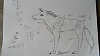 按圖片以瀏覽大圖

名稱:	狼11.jpg
瀏覽次數:	169
文件大小:	416.0 KB
ID:	34041
