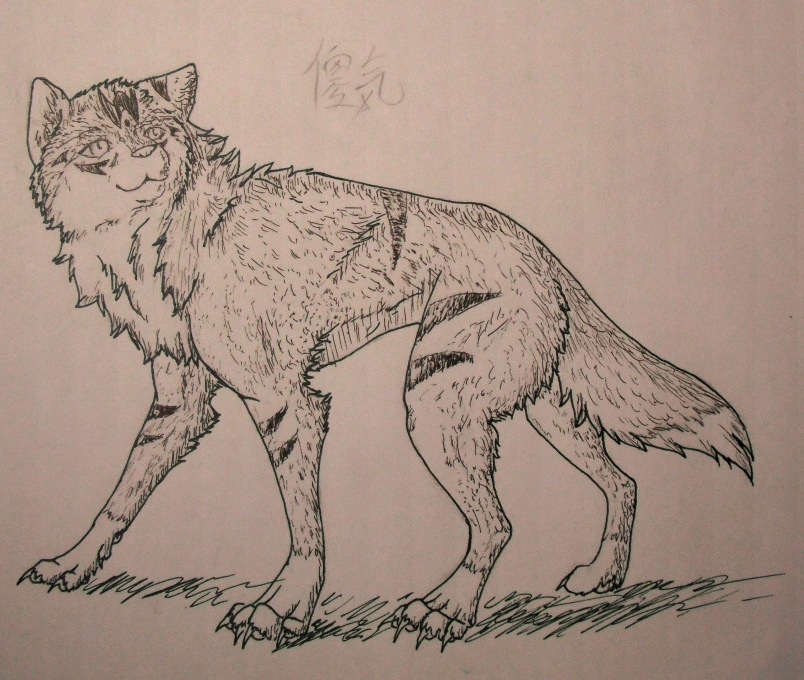 阿五贈圖!!