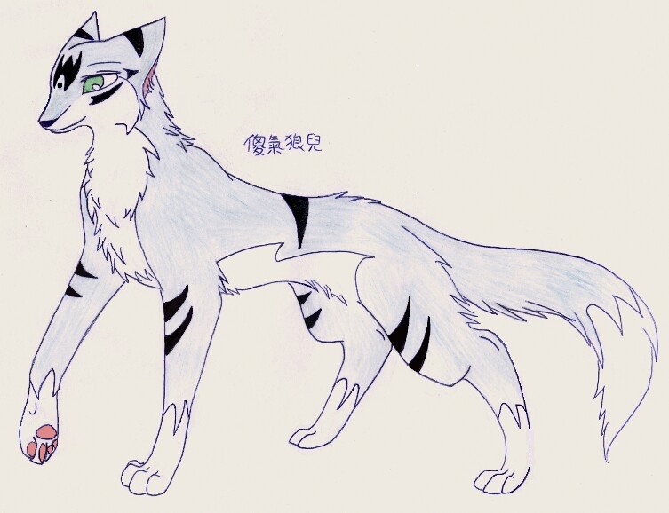 諾雅贈圖!!