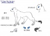 按圖片以瀏覽大圖

名稱:	掃描00001.jpg
瀏覽次數:	118
文件大小:	361.6 KB
ID:	34701
