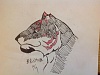 按圖片以瀏覽大圖

名稱:	1502367_799665303392439_1034052224_o.jpg
瀏覽次數:	130
文件大小:	172.2 KB
ID:	34858
