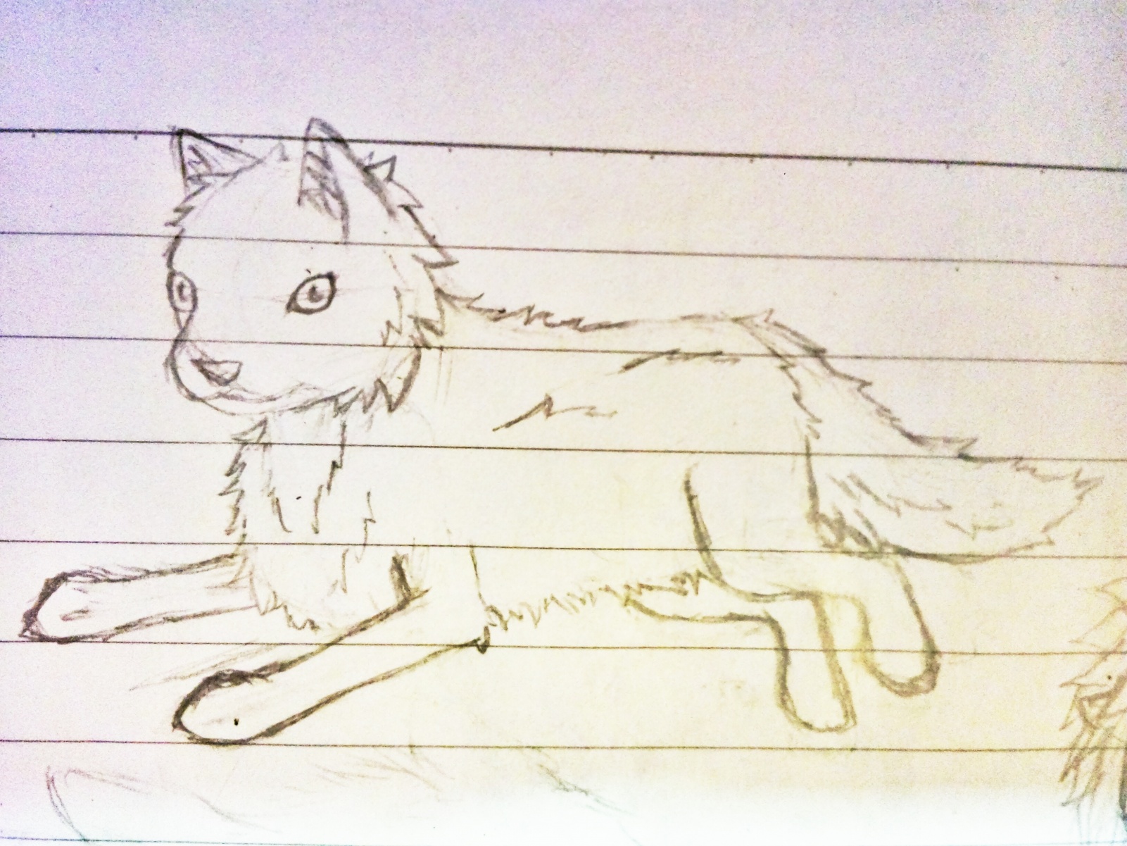 Q wolf lie